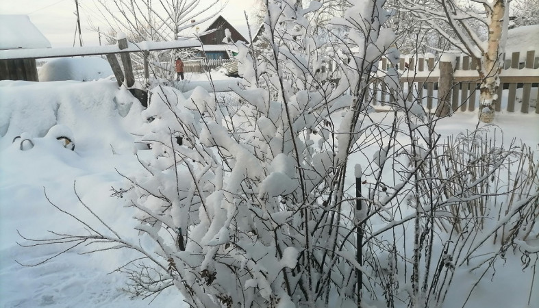 Поселок Валдай Сегежского района Поселок Валдай Сегежского района