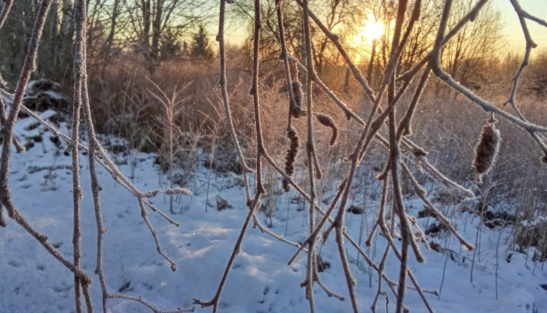 Карелия зима Карелия зима