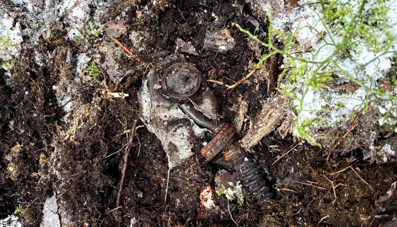 находки поисковиков  в лесу