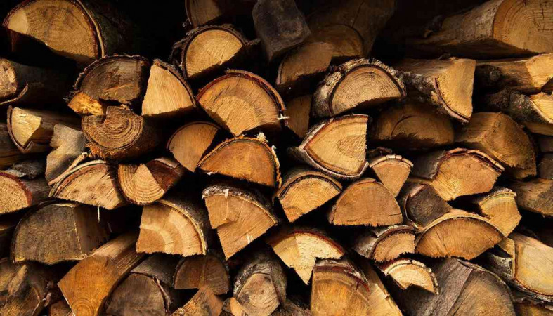 дрова