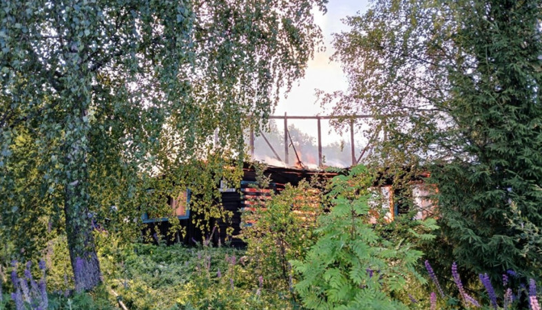 пожар_Кривцы