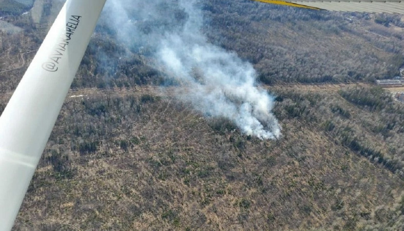 Лесной пожар