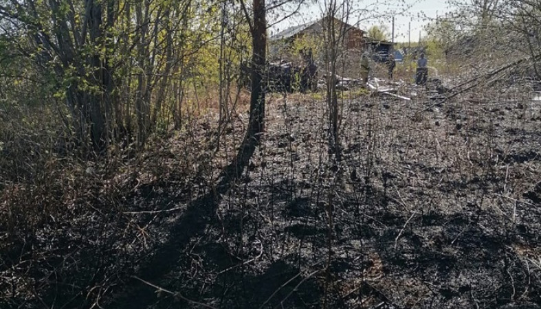 Трава полыхала в старинном селе в Карелии