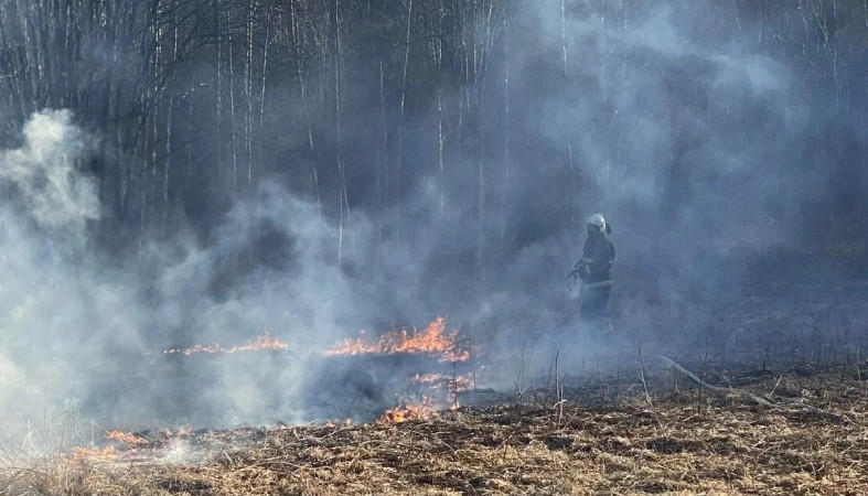 пожарные тушат загоревшуюся траву