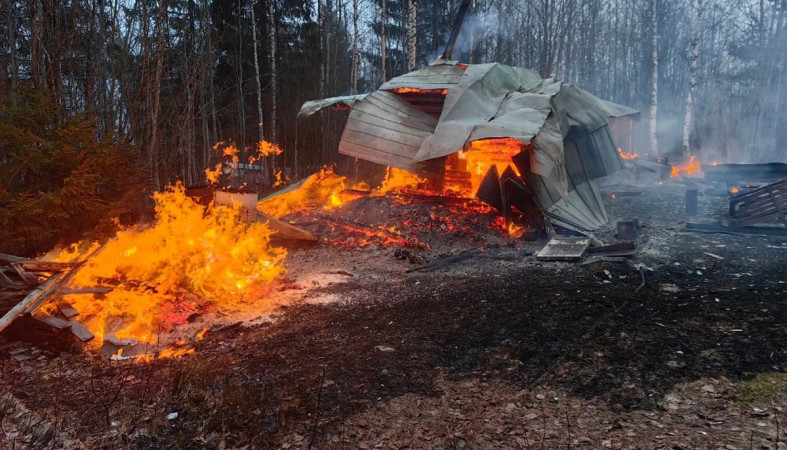 пожар в Прионежье