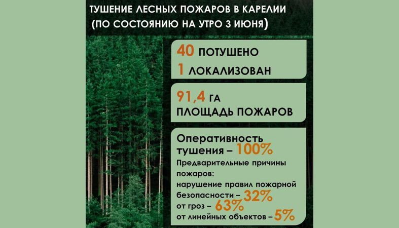 С 31 мая в Карелии оперативно потушено 19 лесных пожаров