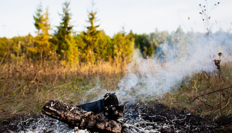 лесной пожар