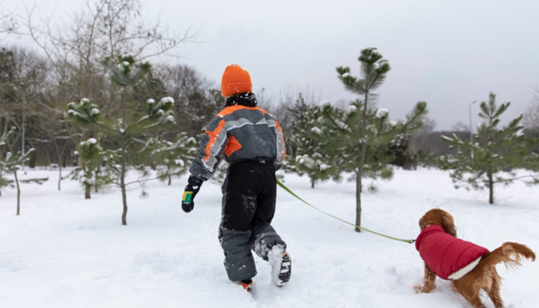 ребенок с собакой