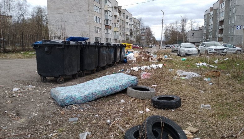 Мусор у помойки в Пряже