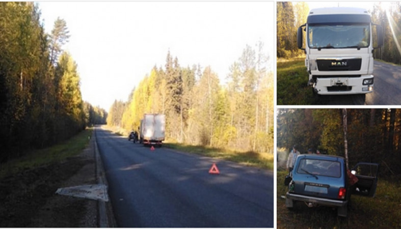 ДТП в Пудожском районе