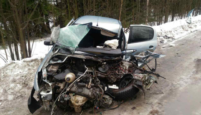 Водитель «Пежо» пострадал в утреннем ДТП с лесовозом в Карелии (фото)