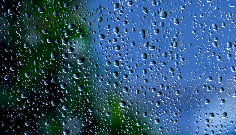 Дожди прольются сегодня в разных районах Карелии