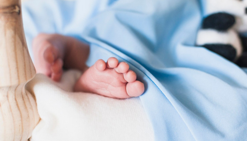 новорожденный