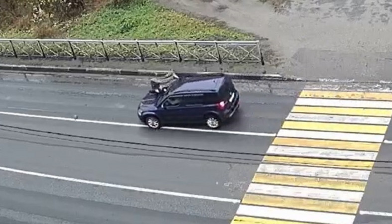 Сбили ребенка Сбили ребенка