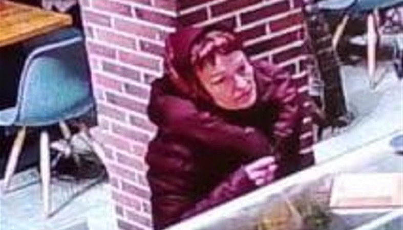 Розыск подозреваемой