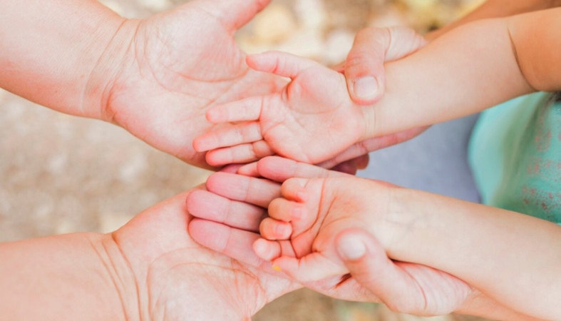 семья и дети