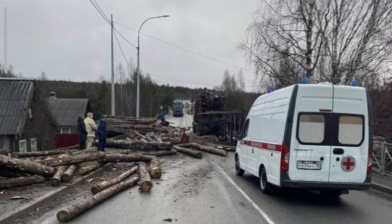 дтп_лесовоз