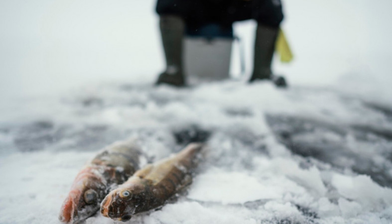 рыбак зимой