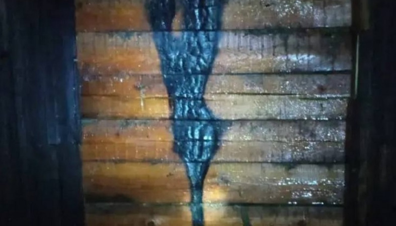 Пожар в Шальском Пожар в Шальском