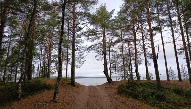 Берег озера в селе Шелтозеро