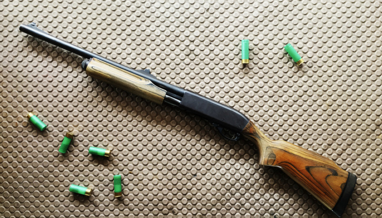 ружье_оружие_патроны