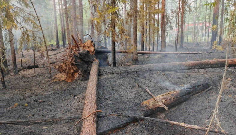 пожар в Ледмозеро