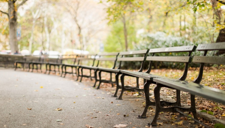 Скамейка в парке