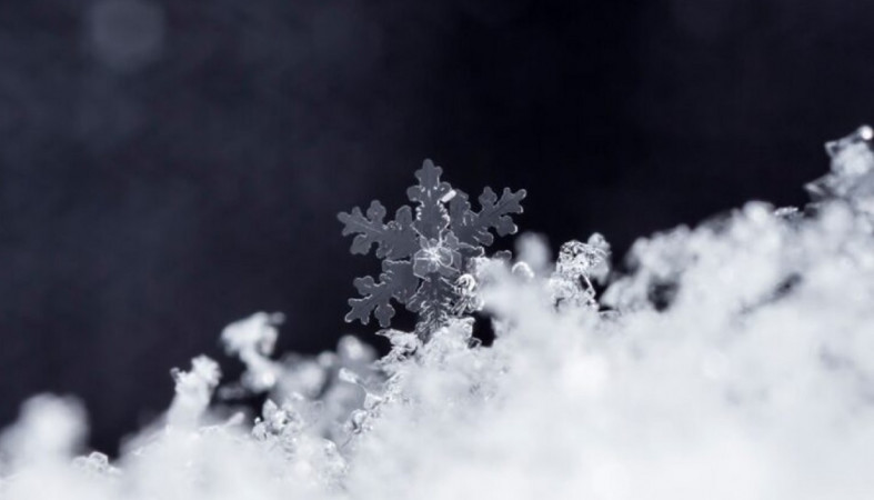 Снег на картинке