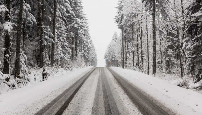дорога через лес дорога через лес