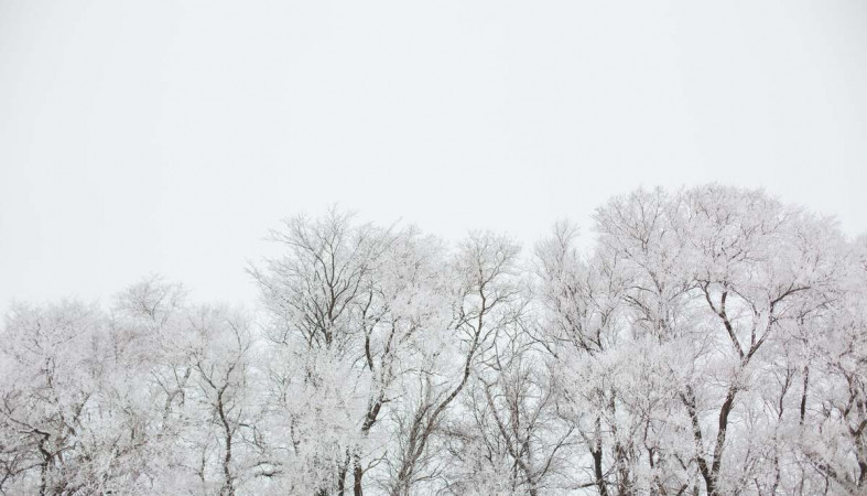 снегопад_снег_зима