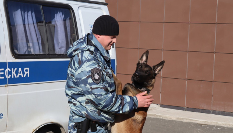 Служебная собака