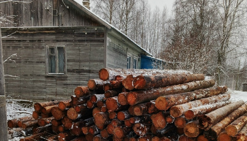 привезли дрова