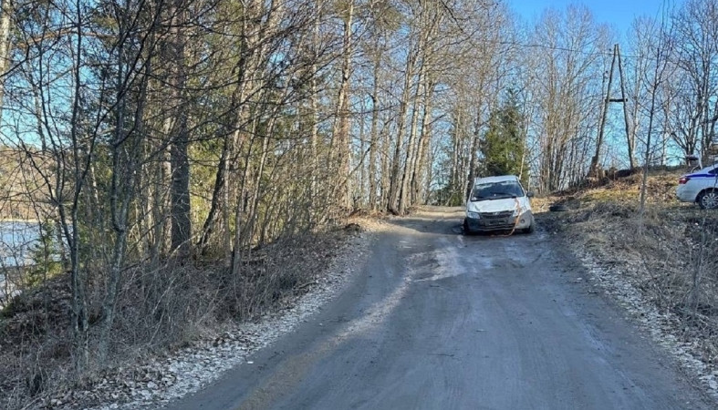 ДТП с пенсионеркой