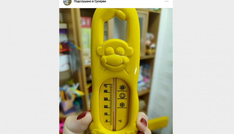 холод сад