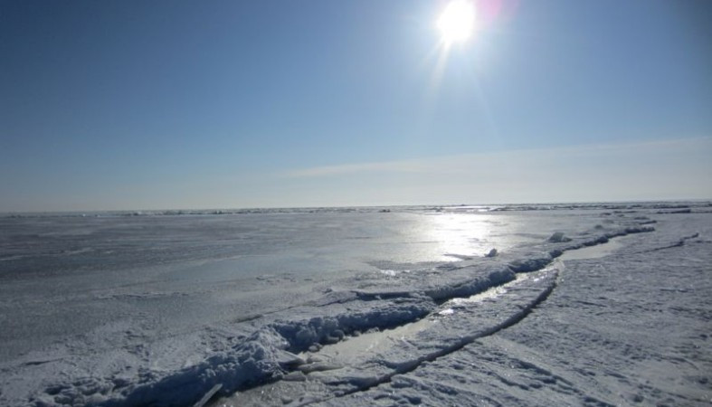 Метеорологи рассказали о дрейфующих льдах на Ладожском озере