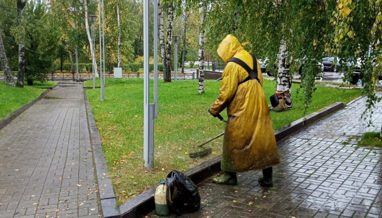 За молодыми посадками продолжают ухаживать в Петрозаводске