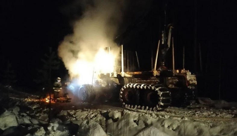 Пожар в лесу