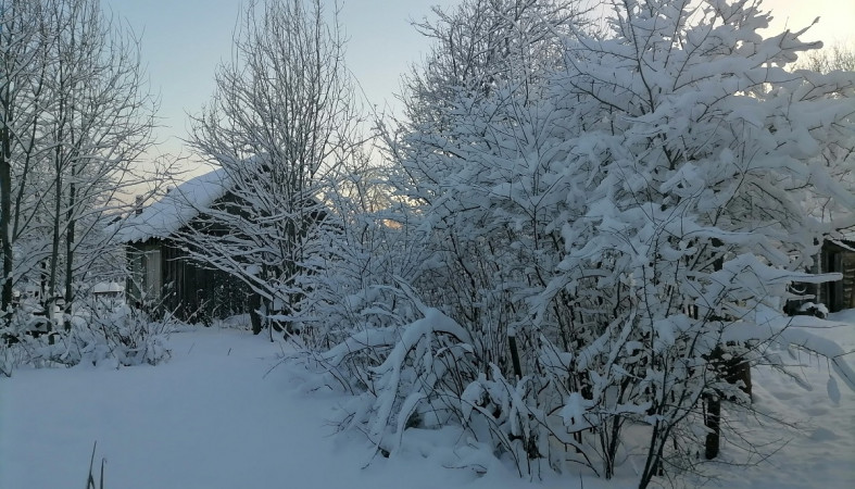 снег_зима_мороз