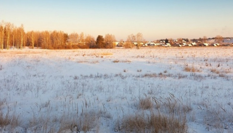 поле_зима_природа