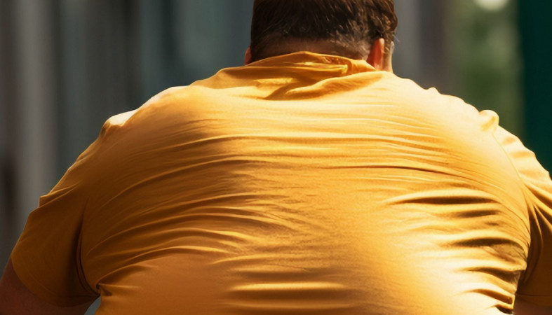 Толстяк едет на велосипеде