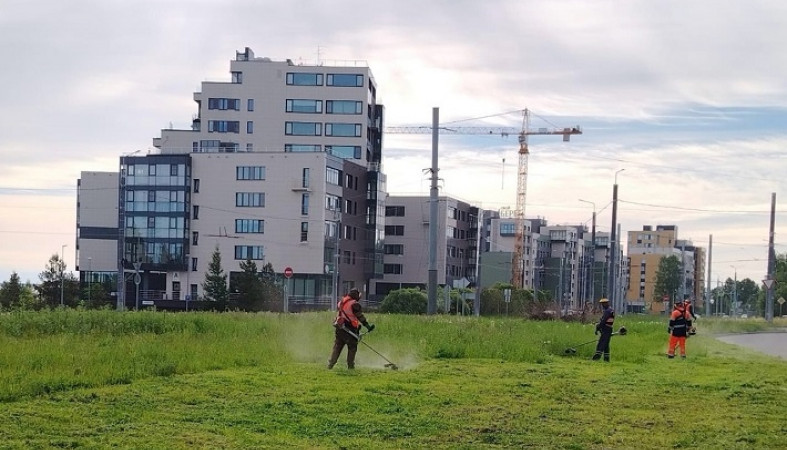 Покос травы стартовал в Петрозаводске