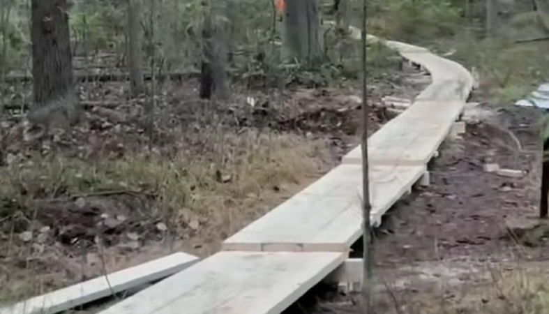 Тропа здоровья Тропа здоровья