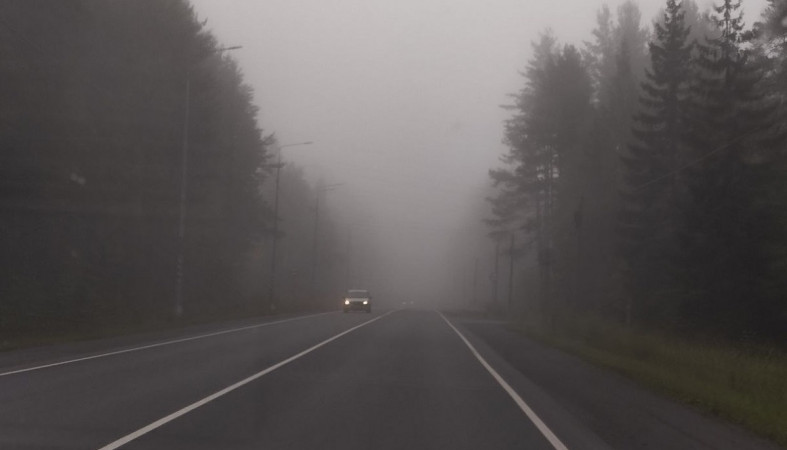 Туман на дороге