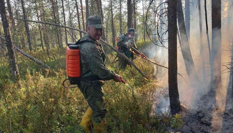 лесные пожарные тушат огонь