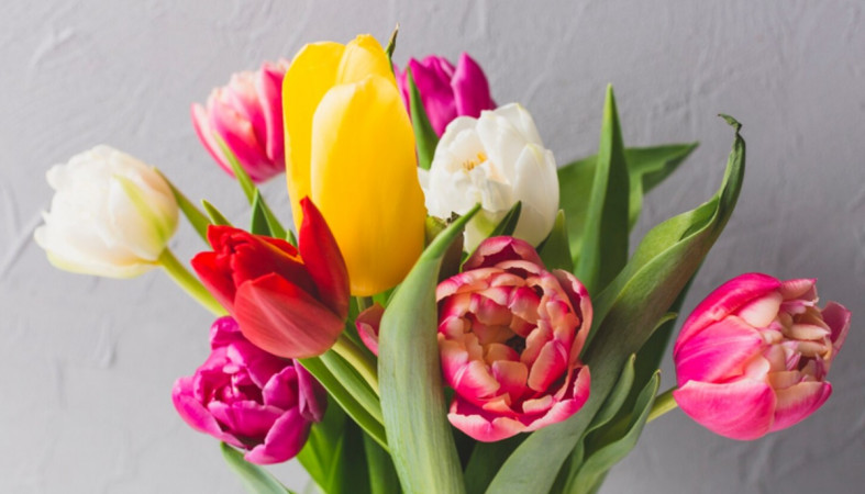 букет тюльпаны букет тюльпаны