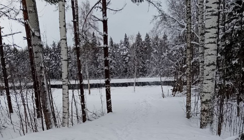 Берег реки Шуи в Салменице