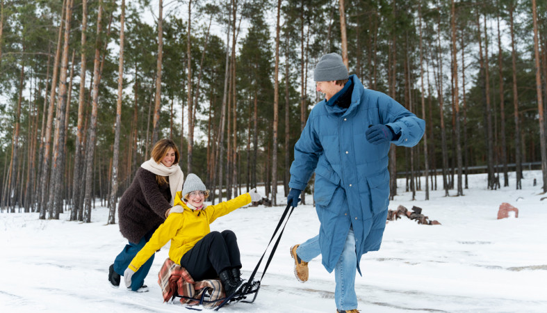 семья катается на санках
