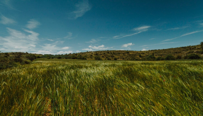 участок земли