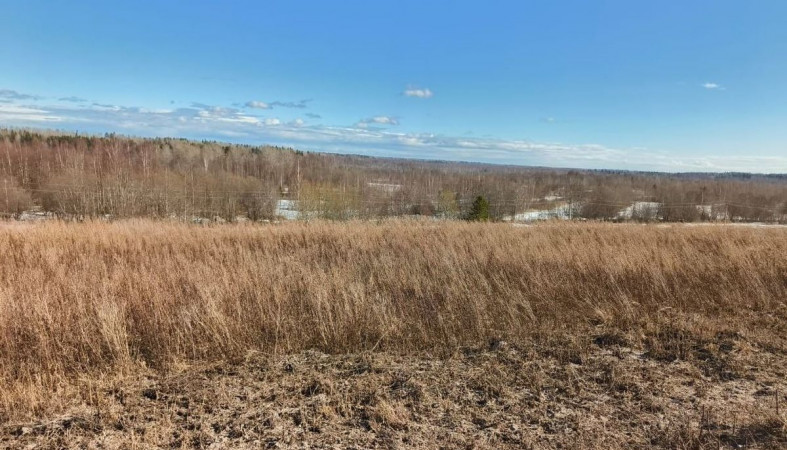 участок земли