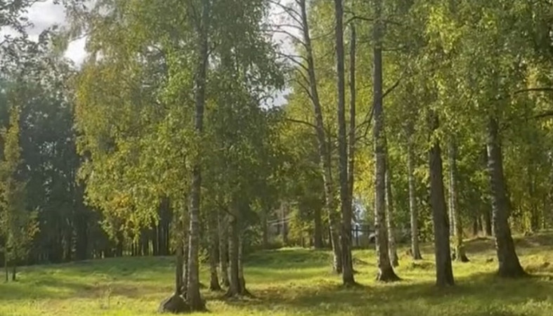 Зона отдыха